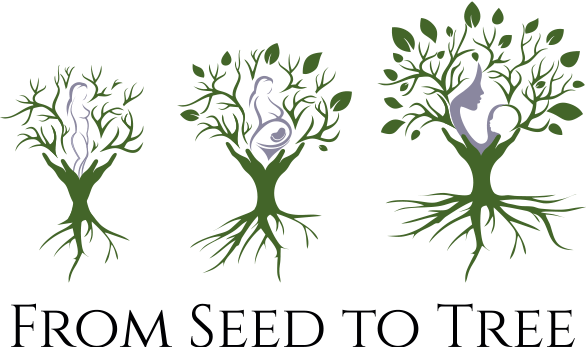 Fom Seed to Three
